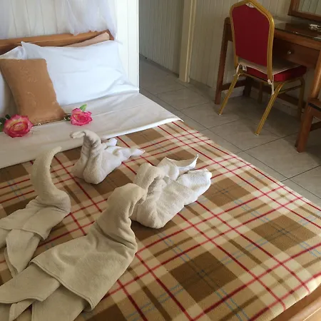 Lägenhet Alkyonis *