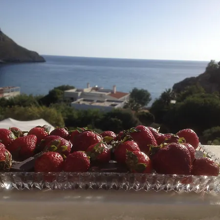 Alkyonis * Panormos (Kalymnos)