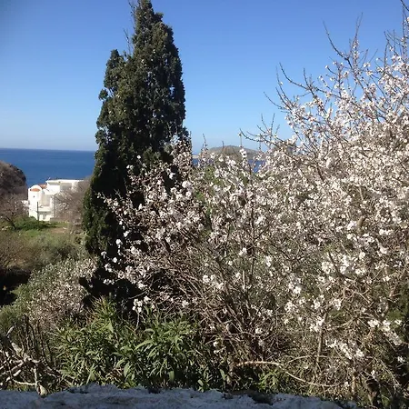 Apartment Alkyonis *
