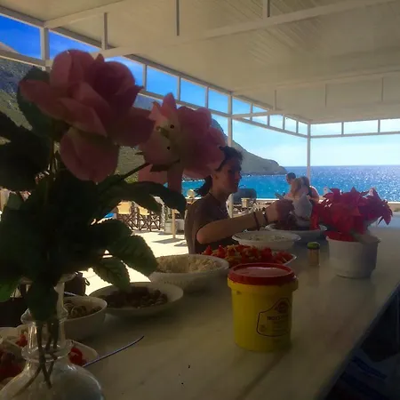 아파트 Alkyonis Panormos (Kalymnos)