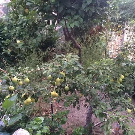 Alkyonis * Panormos (Kalymnos)