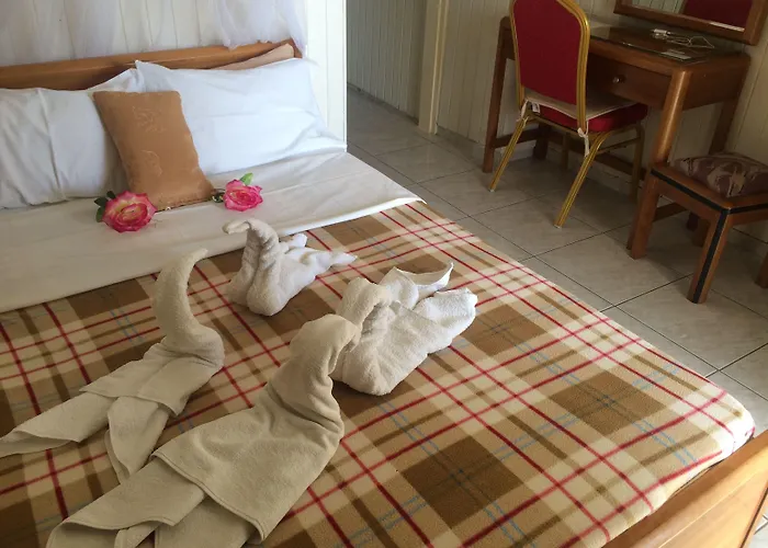 Apartment Alkyonis *