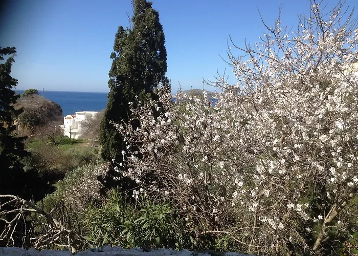 Apartment Alkyonis *